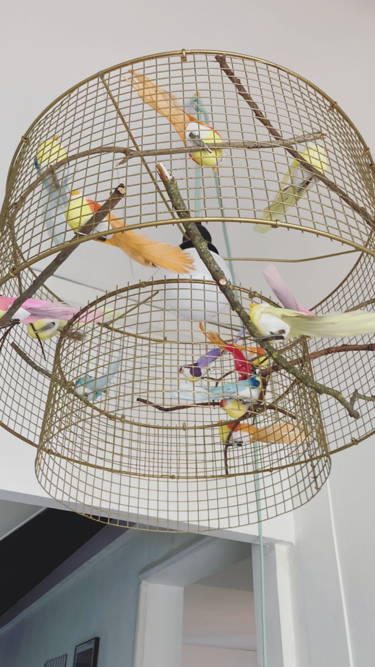 DIY déco : transformer une cage à oiseaux en lanterne - Marie Claire